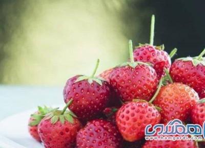 خواص شگفت انگیز توت فرنگی؛ از تنظیم فشار خون تا تقویت سیستم ایمنی بدن